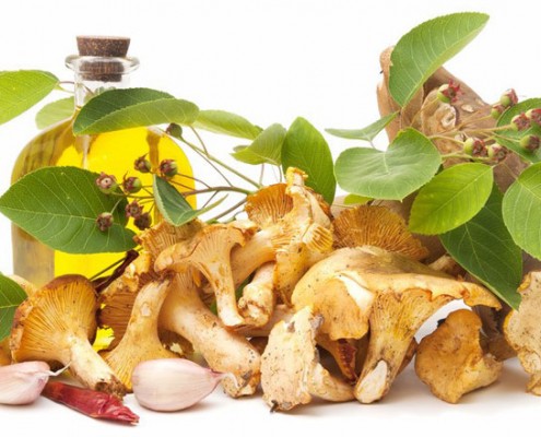 Großes Pilz-Buffet Großes Pilz-Buffet