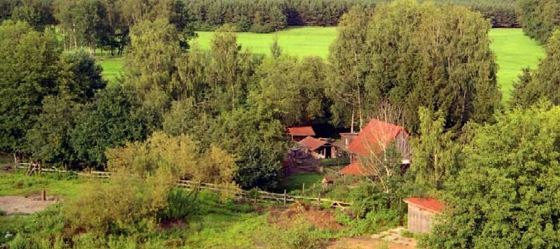 Streichelzoo im Grünen